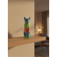 AÇIK RAİNBOW KEDİ