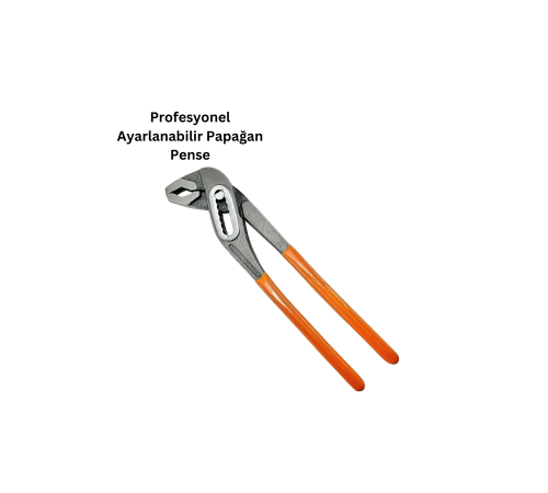 AYARLI PENSE