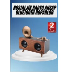 Gramafon Radyo Bluetooth Hoparlör Nostaljik Radyo FM Radyo