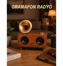 Gramafon Nostaljik Radyo Yüksek Ses Kalitesi USB TF Kart Aux Yeni Nesil