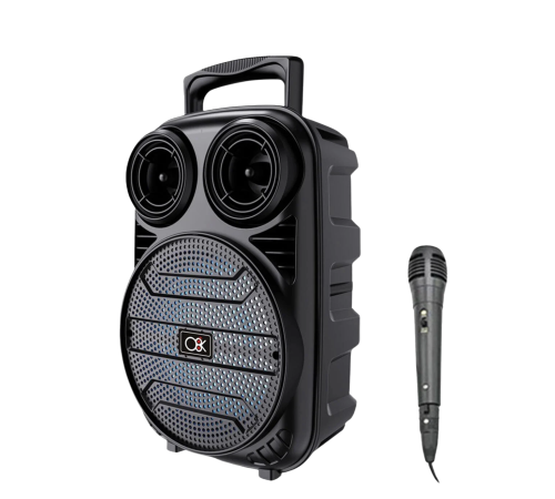 RGB Işıklı Bluetooth Karaoke Hoparlör Mikrofonlu USB TF Kart Destekli Taşınabilir Speaker