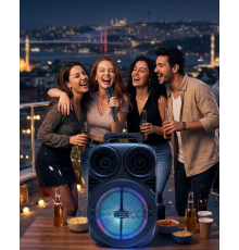 BT612 SPEAKER