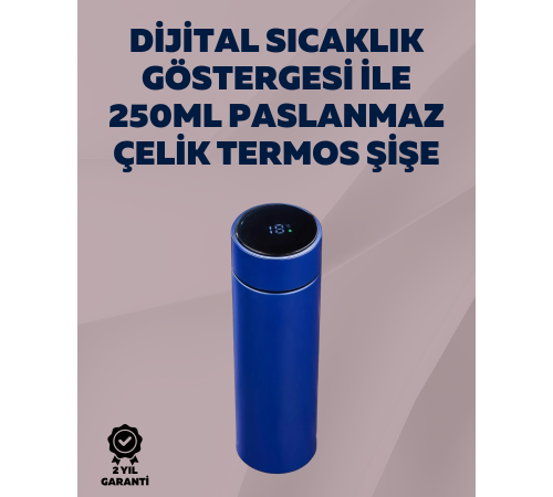 250ml LED Ekranlı Paslanmaz Çelik Akıllı Termos
