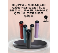 250ml LED Ekranlı Paslanmaz Çelik Akıllı Termos