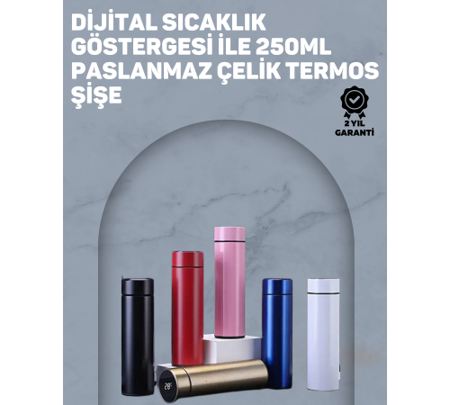 250ml LED Ekranlı Paslanmaz Çelik Akıllı Termos