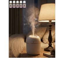 Araç ve Ofis İçin Mini Nemlendirici 5 Esans Hediyeli USB LED Işıklı Buhar Makinesi