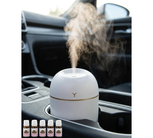 Sessiz Mini Nemlendirici 5 Esans Hediyeli USB Bağlantılı LED Işıklı Buhar Makinesi