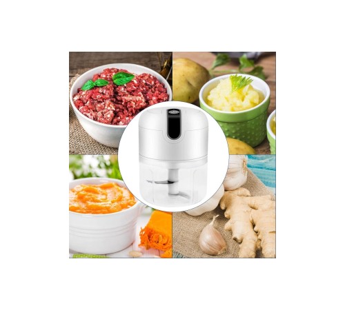 Rondo Doğrayıcı 250 ML Taşınabilir USB Şarjlı Pratik El Rondo Blender