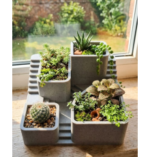 3D Baskı Kaktüs Saksı Seti Çok Bölmeli Modern Dekoratif Masaüstü Bitki Düzenleyici