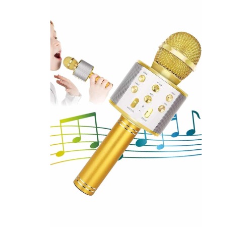 Karaoke Mikrofon Dahili Hoparlörlü Sd-usb-aux Girişli Bluetooth Hoparlör