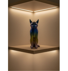 KOYU RAİNBOW KEDİ