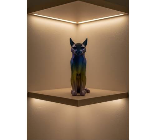 KOYU RAİNBOW KEDİ