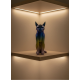 KOYU RAİNBOW KEDİ