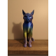 Koyu Rainbow Kedi Biblo Modern Salon ve Raf Dekoru