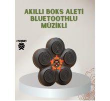 Bluetoothlu Akıllı Boks Antrenman Cihazı Işıklı Hedefli Kardiyo ve Fitness Aleti