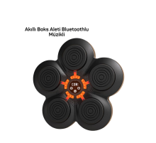 MÜZİK BOX MAKİNESİ