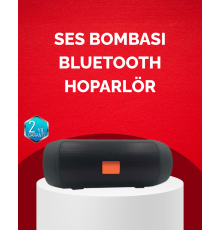 Bluetooth Hoparlör 20W Bass Güçlü Ses USB Flash AUX Destekli