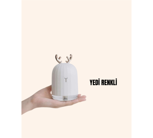 El Tipi USB Mini Soğuk Mist Nemlendirici 220 ml Tank