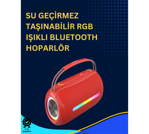 USB/SD/AUX Girişli Hoparlör – 10 W × 2 Çift Sürücü