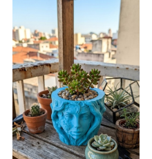Minimalist Kadın Yüzü Heykel Tasarımlı 3D Dekoratif Saksı Vazo