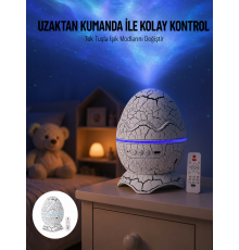 Yumurta Görünümlü Masa ve Gece Lambası Renk Değiştirebilen Projektör