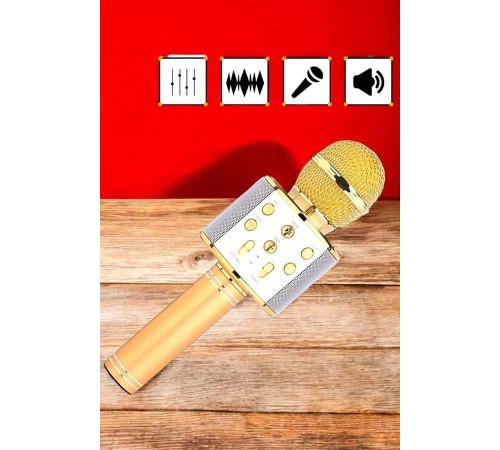 Şarjlı ve Uzun Pil Ömürlü Karaoke Mikrofon USB Bellek Destekli, Profesyonel Ses