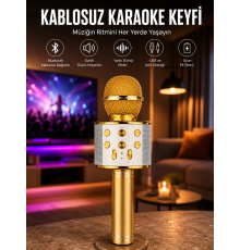 Taşınabilir Bluetooth Karaoke Mikrofon: Hafıza Kart Girişli, Etkileyici Performans