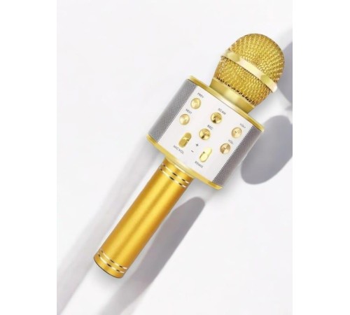 KAREOKE MIKROFON