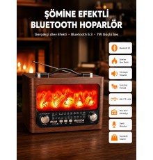 Solar Şarjlı Şömine Işıklı Bluetooth Hoparlör – Radyo, USB, TF Kart Destekli