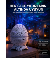 Yumurta Görünümlü Masa ve Gece Lambası Renk Değiştirebilen Projektör