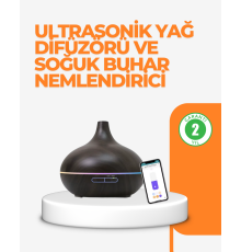 Zaman Ayarlı ve Otomatik Kapanma Özellikli Buhar Makinesi