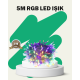50’li LED Şeffaf Kablolu 5 m Aydınlatma Işık Süsleme Led