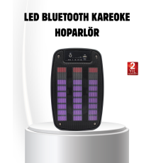 6.5” LED Işıklı GTS 1793 Bluetooth Hoparlör Güçlü Bass ve FM Destekli