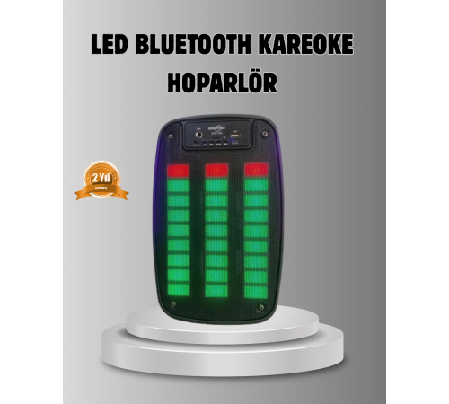 GTS 1793 Işıklı 6.5 İnç Kablosuz Hoparlör Bluetooth, USB ve FM Özellikli
