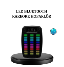 GTS 1793 Kablosuz Bluetooth Hoparlör 6.5 İnç Işıklı ve Güçlü Bass