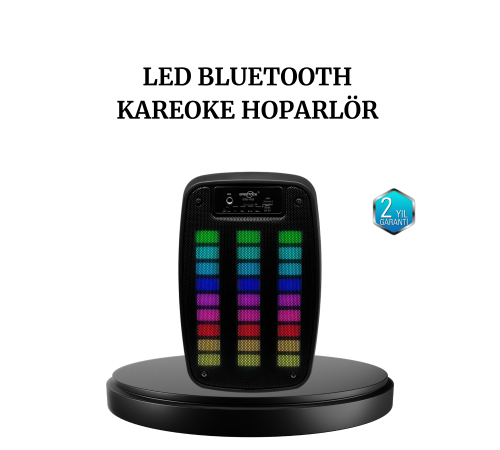 GTS 1793 Kablosuz Bluetooth Hoparlör 6.5 İnç Işıklı ve Güçlü Bass