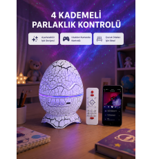 Galaksi Efektli Dinozor Yumurta Projektör – Yüksek Çözünürlüklü
