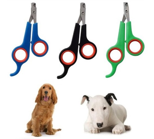 Renkli Kedi Köpek Tırnak Makası Renkli Kedi Köpek Tırnak Makası