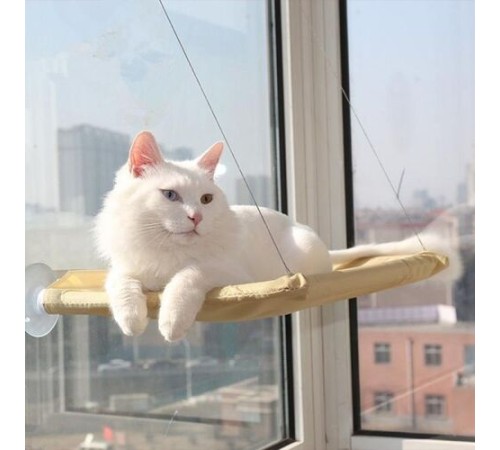 Cama Asılan Kedi Yatağı Cama Asılan Kedi Yatağı