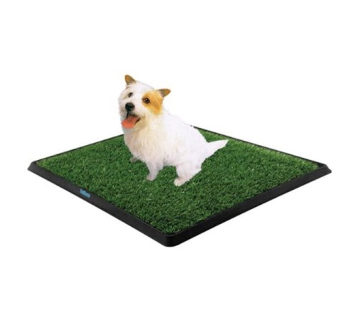 Köpek Tuvalet Eğitim Seti Köpek Tuvalet Eğitim Seti