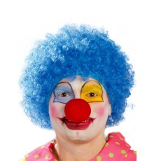 Mavi Renk Kıvırcık Afro Palyaço Seti
