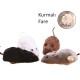 Kurmalı Fare Kedi Eğitim Oyuncağı