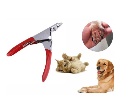 Kedi Köpek Giyotin Tırnak Makası Kedi Köpek Giyotin Tırnak Makası