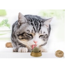 Kedi Otu Oyun Topu