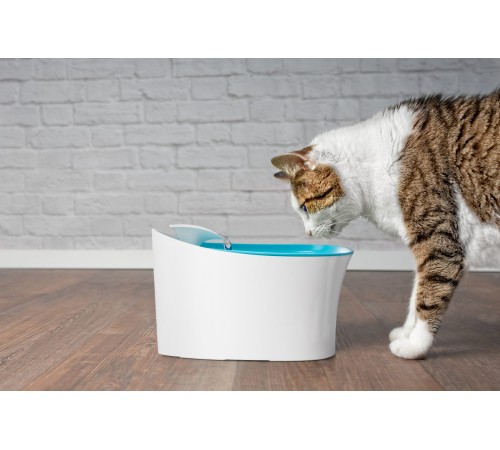 Otomatik Uyarılı Kedi Köpek Su Kabı Otomatik Uyarılı Kedi Köpek Su Kabı
