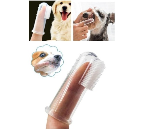 Kedi Köpek Diş Temizleme Fırçası Kedi Köpek Diş Temizleme Fırçası