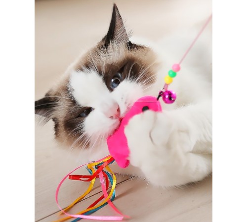 Balıklı Kedi Oyun Oltası Balıklı Kedi Oyun Oltası
