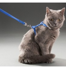 Kedi Boyun ve Göğüs Tasması