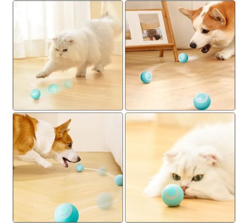 İnteraktif Kedi Köpek Şarjlı Oyun Topu İnteraktif Kedi Köpek Şarjlı Oyun Topu