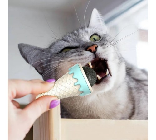 DONDURMA ŞEKLİNDE KEDİ NANESİ KEDİ OTU DONDURMA ŞEKLİNDE KEDİ NANESİ KEDİ OTU